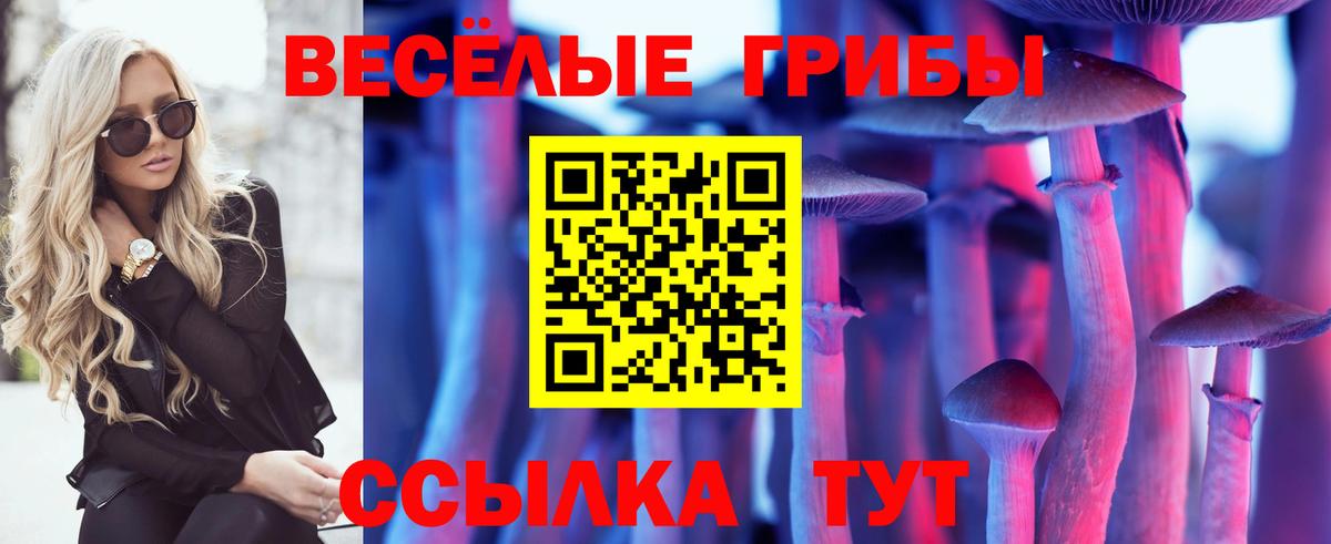 закладка  Вход с VPN  Псилоцибиновые грибы прущие грибы  Новокубанск  Псилоцибиновые грибы Psilocybine cubensis 